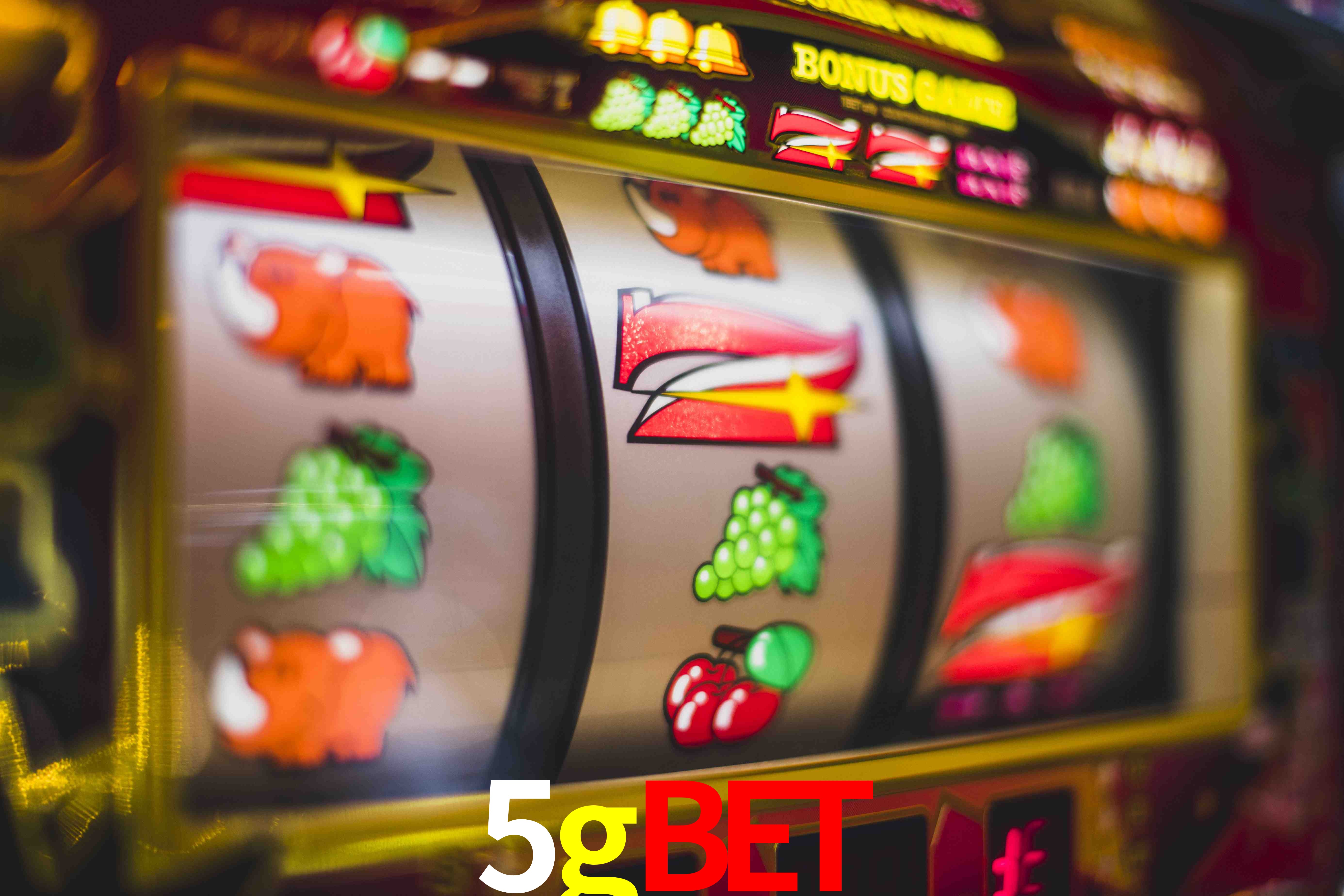 Tennis Betting 5gbet